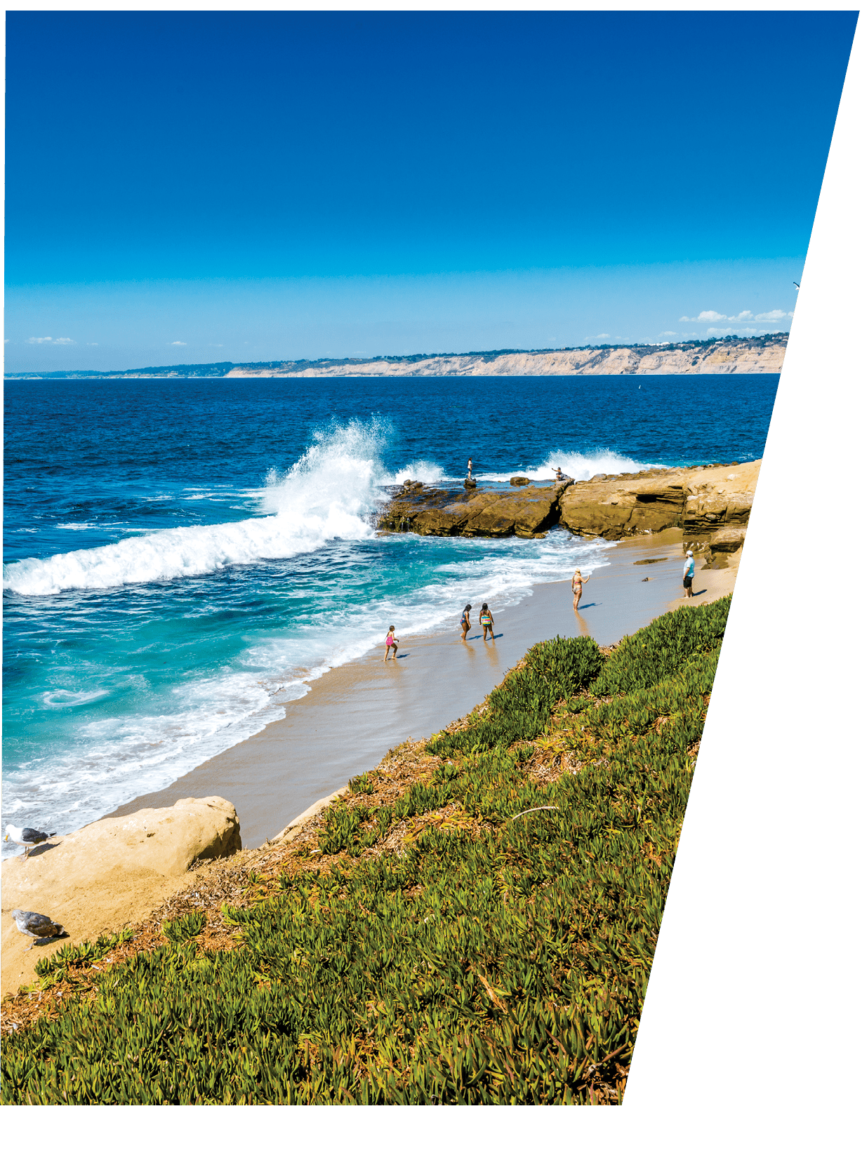 A beautifully timed wave crashing into the La Jolla volcanic rocks