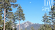 Idyllwild Arts landscape.