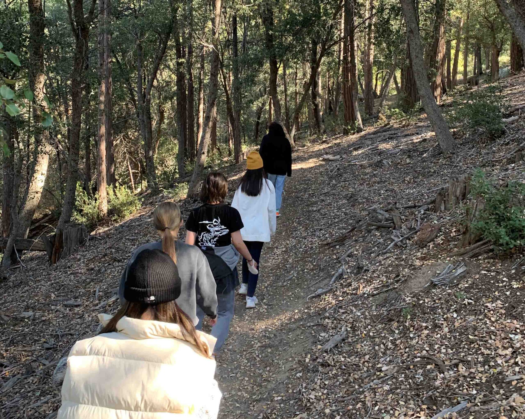 Students on a hike.