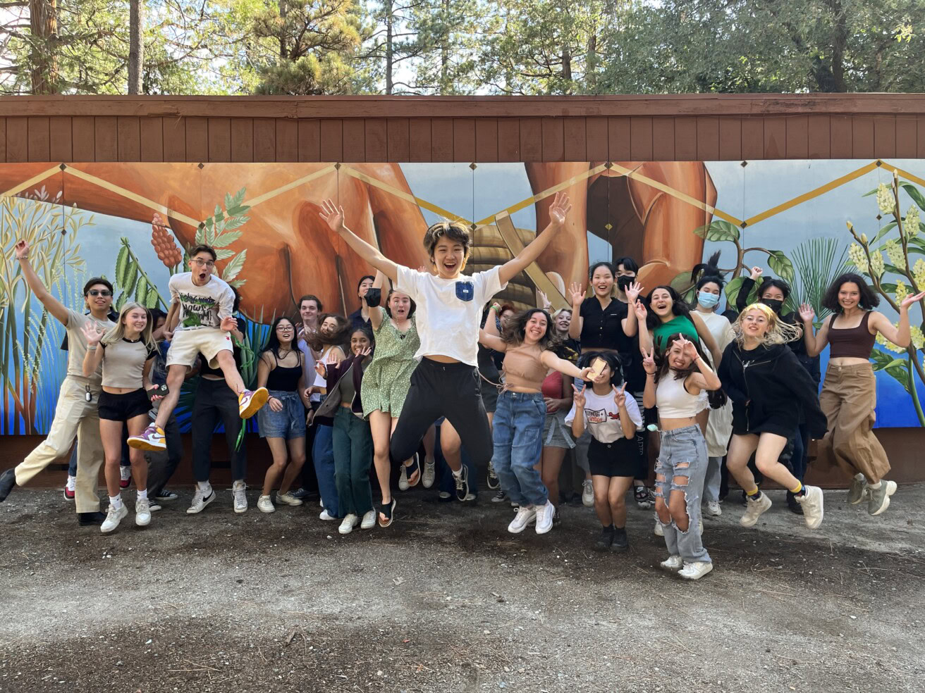A group of students standing in front of a mural at Idyllwild Arts Academy.